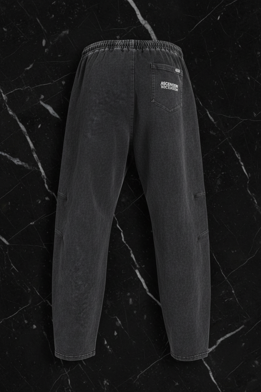 Ascension The Ashen Pant